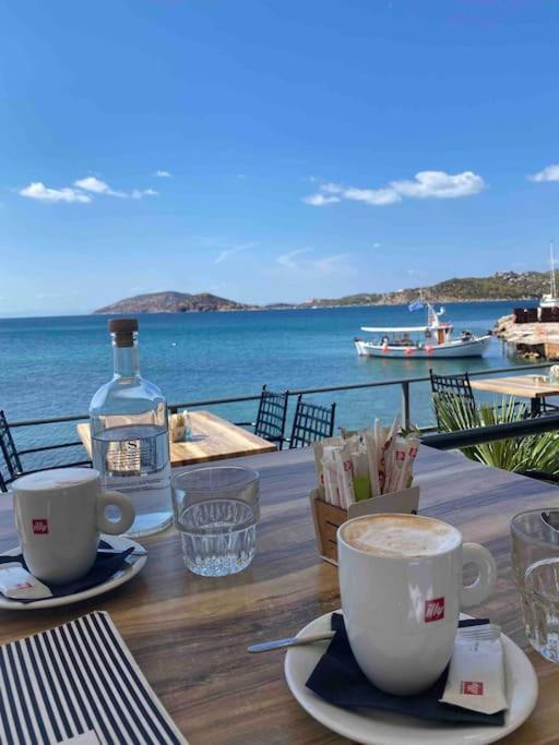 Riviera Beach, Seaside Spacious Apt. Anávyssos Eksteriør bilde